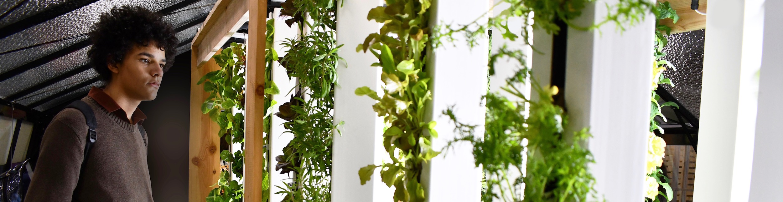 Hydroponics